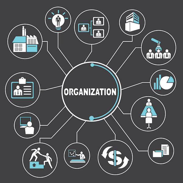 Unveiling the Hidden Intentions – A Deep Dive into Sociology’s Manifest Function